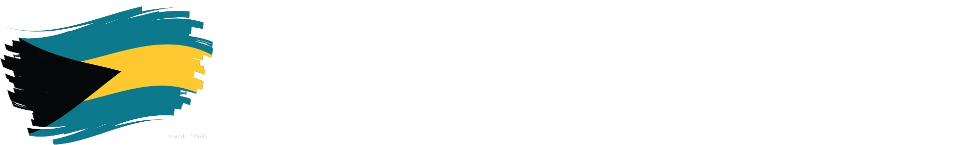 National Accreditation and Equivalency Council of The Bahamas logo